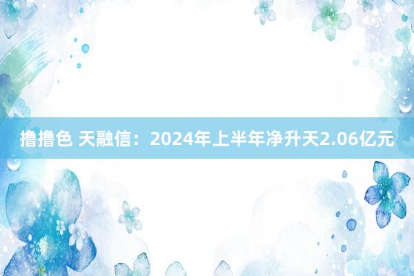 撸撸色 天融信：2024年上半年净升天2.06亿元