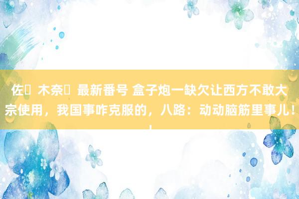 佐々木奈々最新番号 盒子炮一缺欠让西方不敢大宗使用，我国事咋克服的，八路：动动脑筋里事儿！